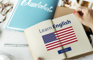 Topic: LIFE CYCLE OF A BUTTERFLY | Bài mẫu và Từ vựng IELTS  Writing Part 4